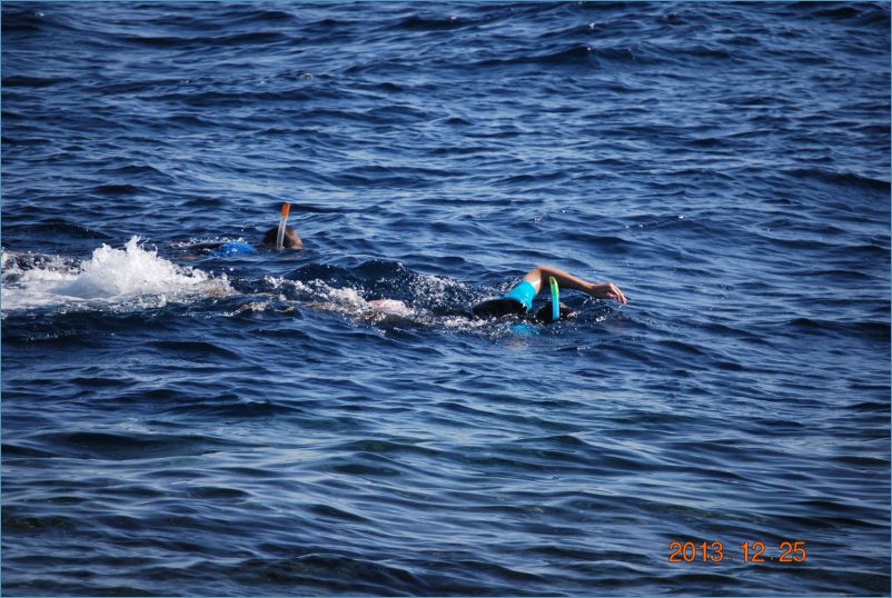 sharm 12 109